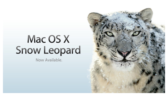 Snow Leopard Review