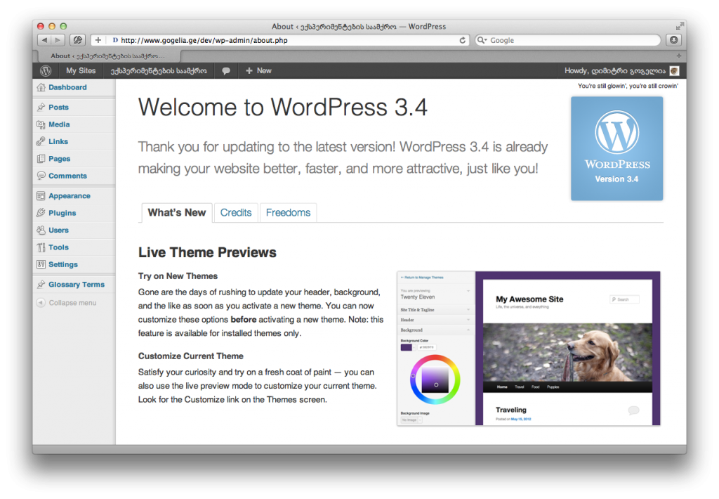 WordPress 3.3.4